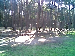 galerie