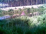 galerie